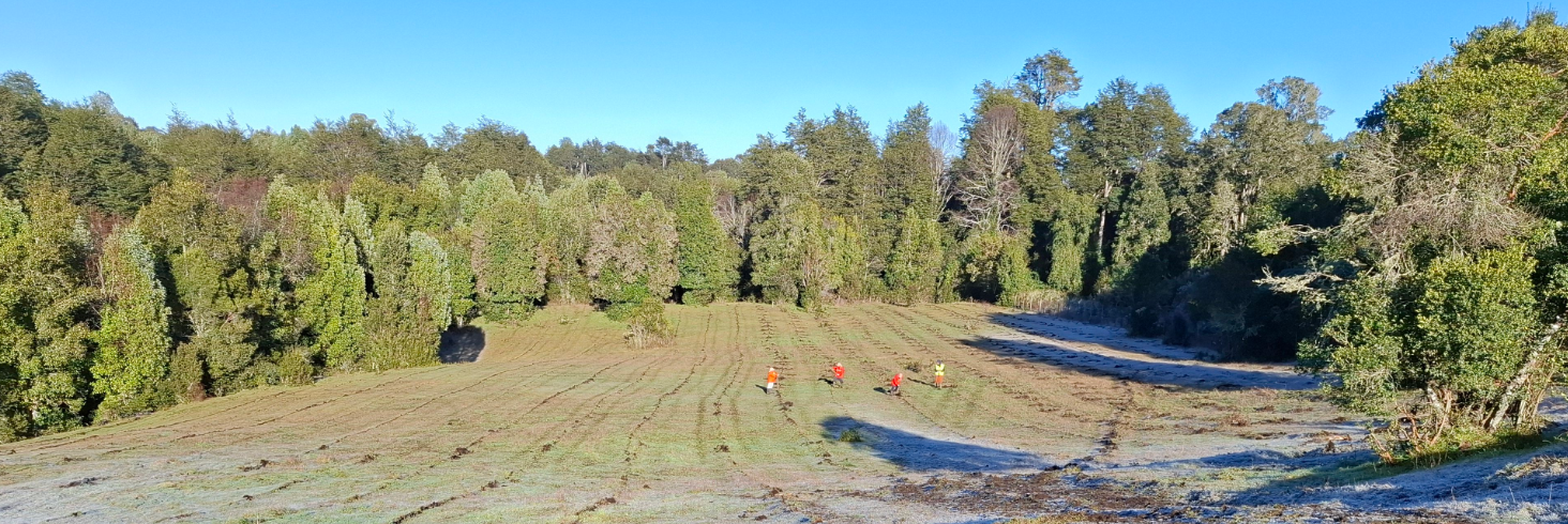 Verification of clearing and preparation on Alfredo Erlwein's land