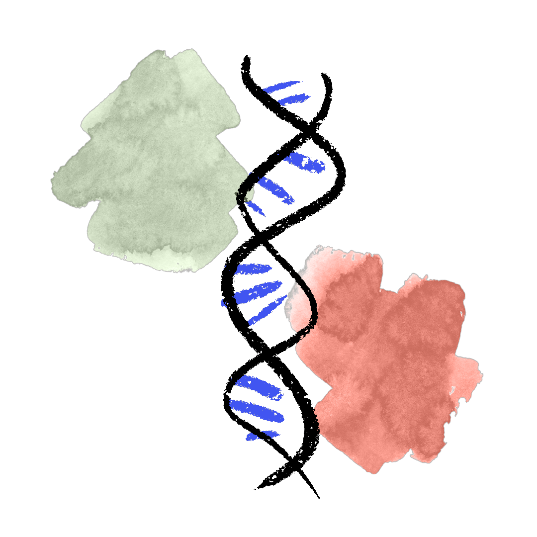 DNA italiano